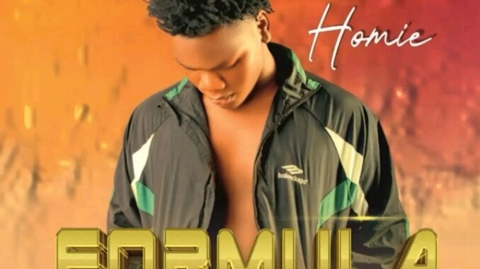 BoiHomie – Formular